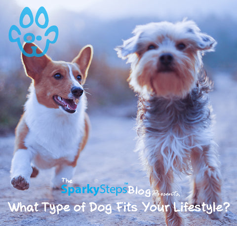  Sparky Steps - What Type of Dog Fits Your Lifestyle