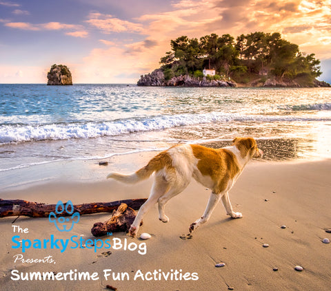 Sparky Steps - Summertime Fun Activities