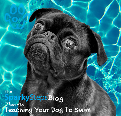 Sparky Steps - Teaching Your Dog To Swim