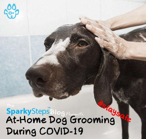 At-Home Dog Grooming During COVID-19 - Sparky Steps Chicago Pet Sitters - Article
