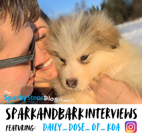 Daily_Dose_Of_Koa - Sparky Steps - SPARKandBARK INTERVIEWS.jpg