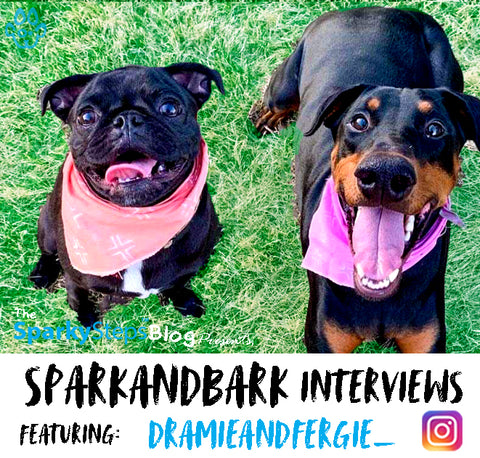 DramieandFergie_ - Sparky Steps - SPARKandBARK INTERVIEWS