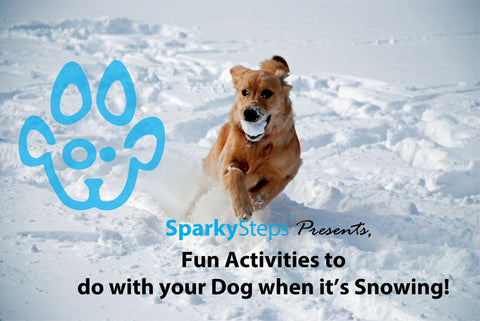 Sparky Steps - Fun Activities to do with your dog when it's Snowing!