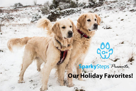 Sparky Steps - Our Holiday Favorites from Sparky Steps