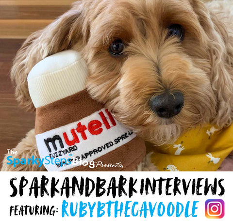 Interviews - RubyBTheCavoodle - Sparky Steps - SPARKandBARK INTERVIEWS