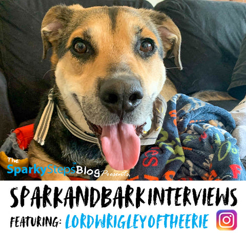 Interviews - LordWrigleyOfTheErie - Sparky Steps - SPARKandBARK INTERVIEWS