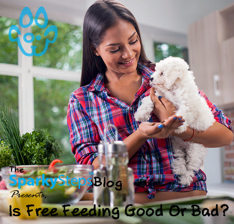 Is Free Feeding Good Or Bad For My Dog - Sparky Steps Chicago Pet Sitters - Article.jpg