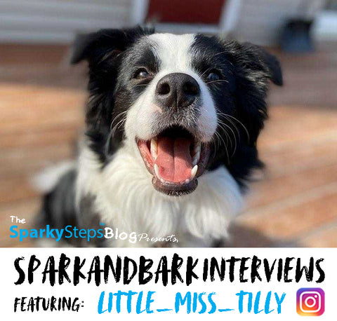 Little_Miss_Tilly - Sparky Steps - SPARKandBARK INTERVIEWS