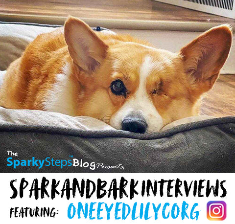 ONEEYEDLILYCORG - Sparky Steps - SPARKandBARK INTERVIEWS