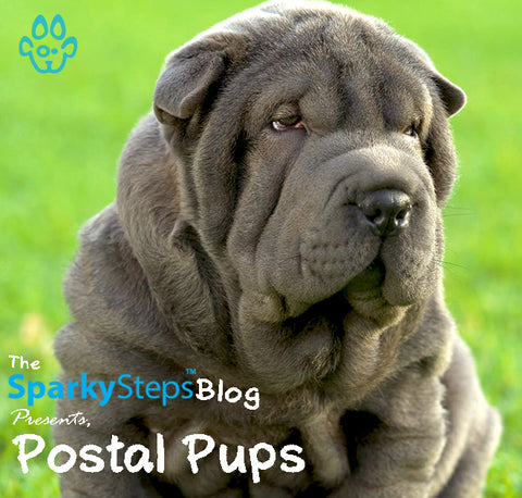 Postal Pups - Sparky Steps Chicago Pet Sitters - Article