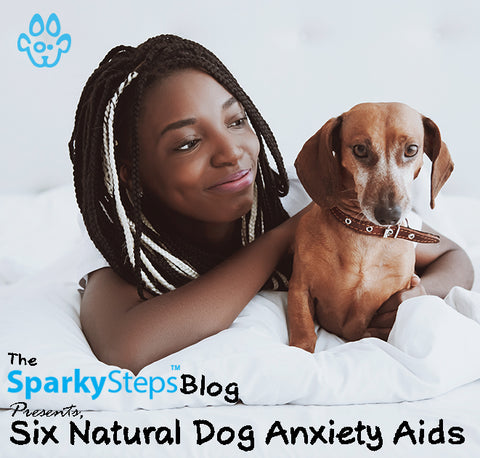 Six Natural Dog Anxiety Aids - Sparky Steps Chicago Pet Sitters - Article