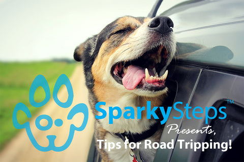 Sparky Steps - Tips for Road Tripping with Your Dog or Cat