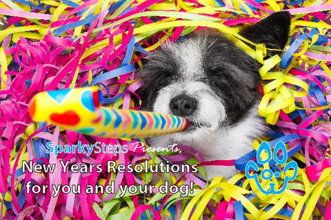 Sparky Steps - New Year’s Resolutions for you and your dog