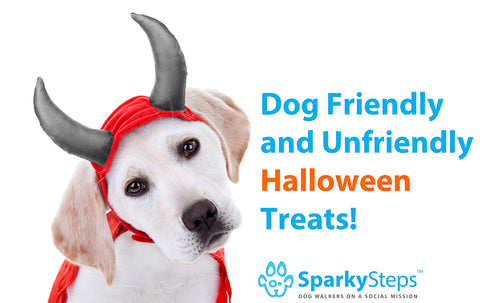 Sparky Steps - Dog Friendly and Unfriendly Halloween Treats!