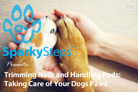 Sparky Steps - Trimming Nails and Handling Cracked Pads - Taking Care of Your Dogs Paws