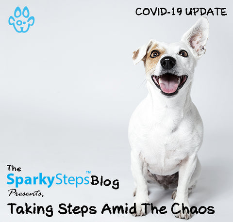 Taking Steps Among The Chaos - Sparky Steps Chicago Pet Sitters - Article