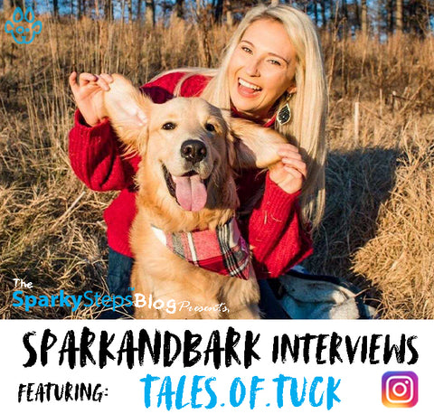 Tales.Of.Tuck - Sparky Steps - SPARKandBARK INTERVIEWS