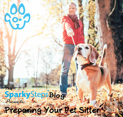The Ultimate Guide To Preparing Your Pet Sitter - Sparky Steps Chicago Pet Sitters - Article