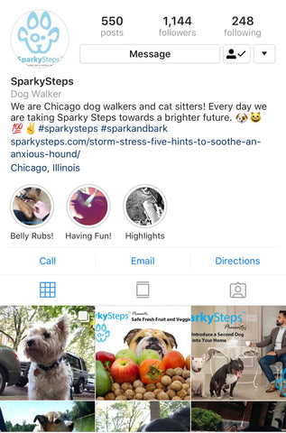 Sparky Steps - Instagram Accounts