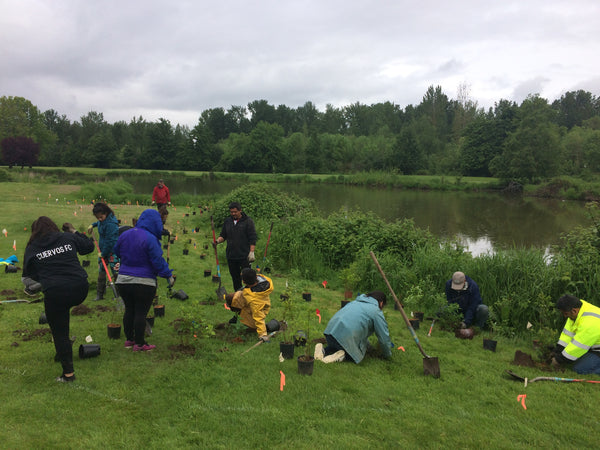 Planting trees in Oregon