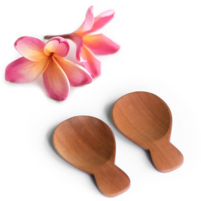 Small Wooden Spoon perfect for Appetizer Entree Dessert Finger Food | 3"