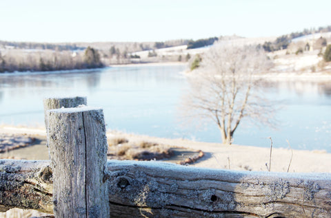 Prince Edward Island Winter Gardens of Hope