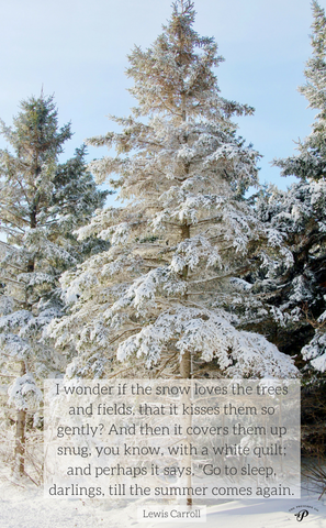 Prince Edward Island Winter quote