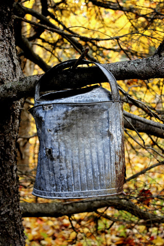 Fall in Prince Edward Island