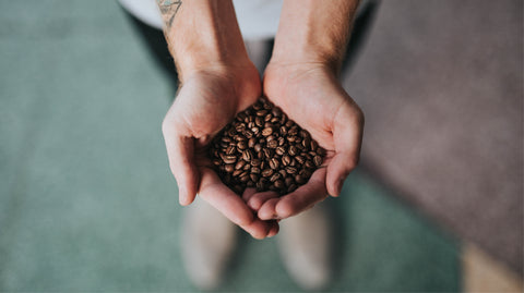 Hands holding coffee beans.
