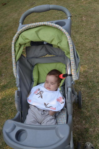 Baby Stroller What are The Top 7 Tips For Dressing Newborns During Winter - How to Dress a Newborn Baby hybrid cloth diapers covers, washable cloth  diapers, reusable cloth  diapers, disposable nappy pads, chemical free, rash free healthy nappy pads