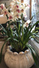 Marble lotus pot XXL