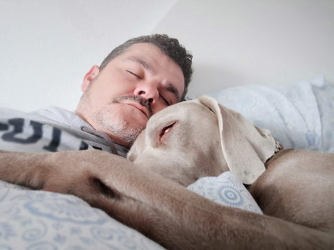 sleeping with dog at home