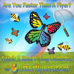 catch the flying butterfly mobile game from Butterflyers