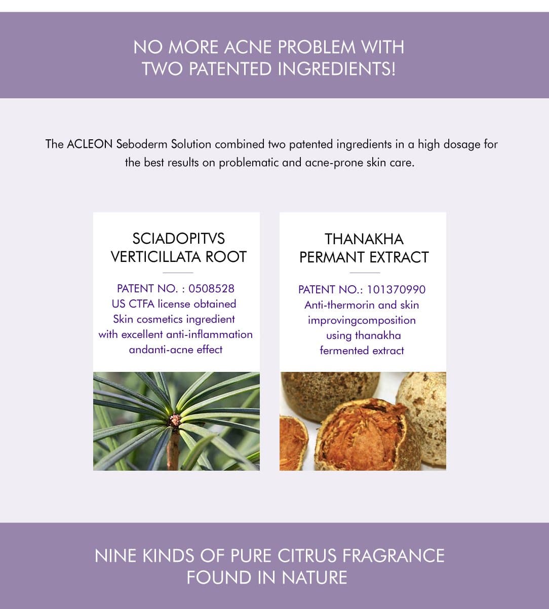 Acne treatment, Intensive Anti Acne Serum, anti sebum, blemish prone skin, pore care, 50ml (1.69 oz) ACLEON - FLJ CORPORATIONS
