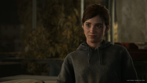 The Last of Us Part II, Sony, PlayStation 4, 711719519102