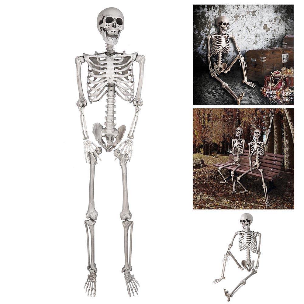 5ft Full Body Skeleton Props with Movable Joints for Halloween Party Decoration - FLJ CORPORATIONS