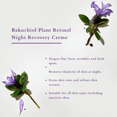 Vanity Wagon | Buy Lotus Organics+ Bakuchiol Plant Retinol Night Recovery Creme