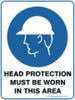 Head Protection Must Be Worn In This Area