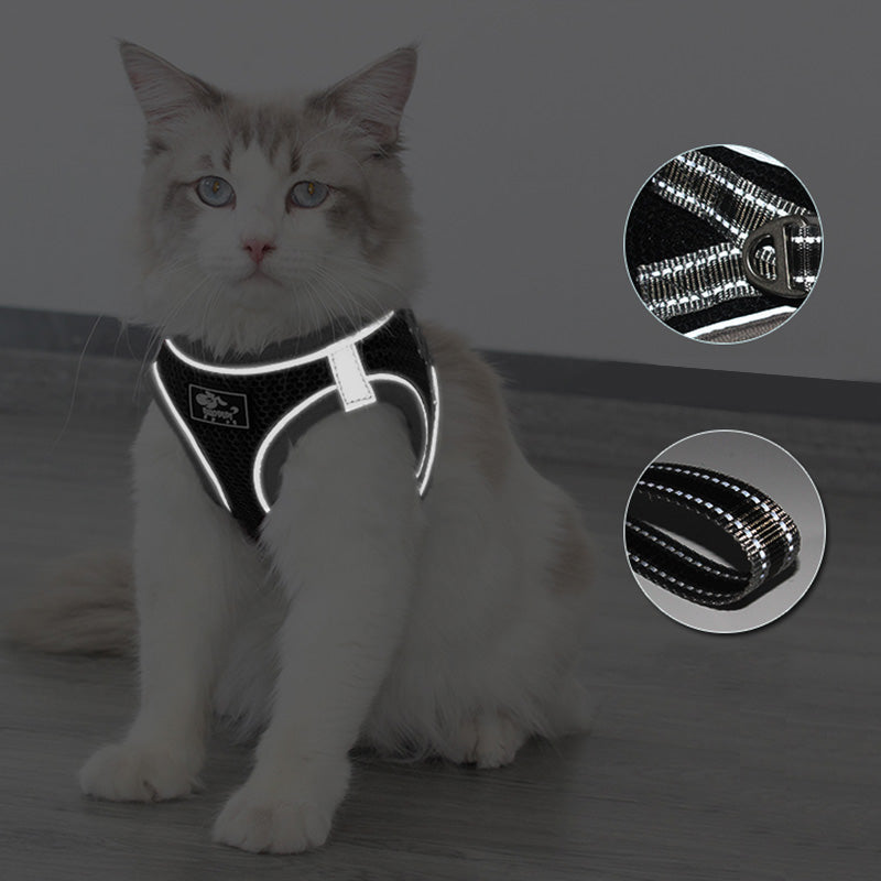 reflective cat harness