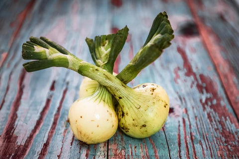 allotment gardening onions vegetables