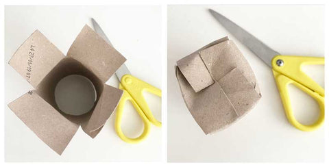 toilet roll seedling planters