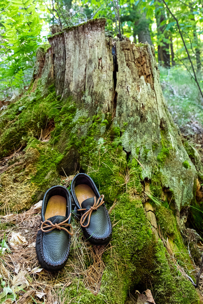 moccasins nature tree stump Native