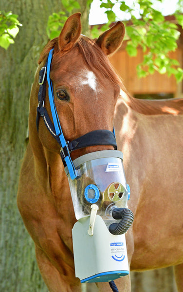 Pferde inhalieren mit AirOne Inhalator