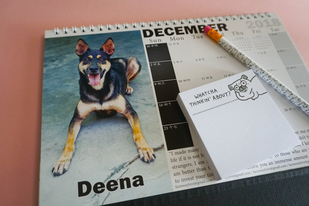2018 Calendar by Gentle Paw Animal Shelter december