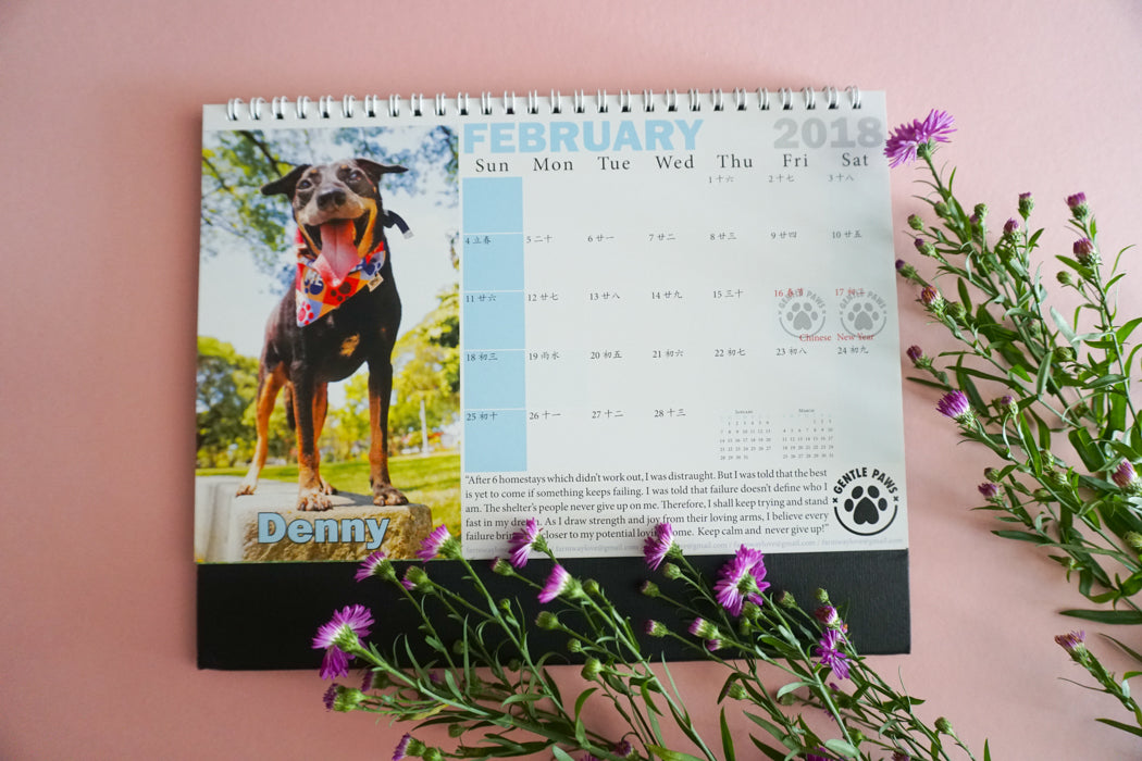 2018 Calendar by Gentle Paw Animal Shelter february