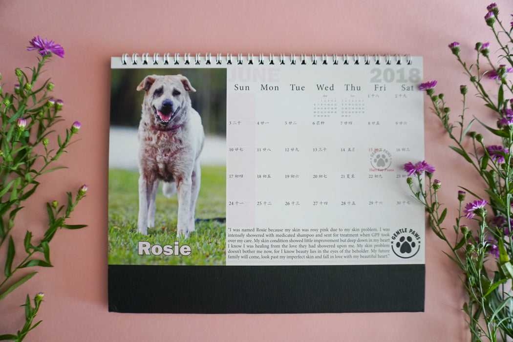 2018 Calendar by Gentle Paw Animal Shelter june