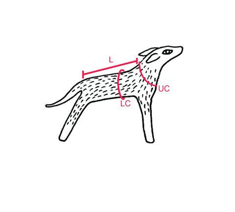 Fetch and Follow Rain Coat Sizing Guide