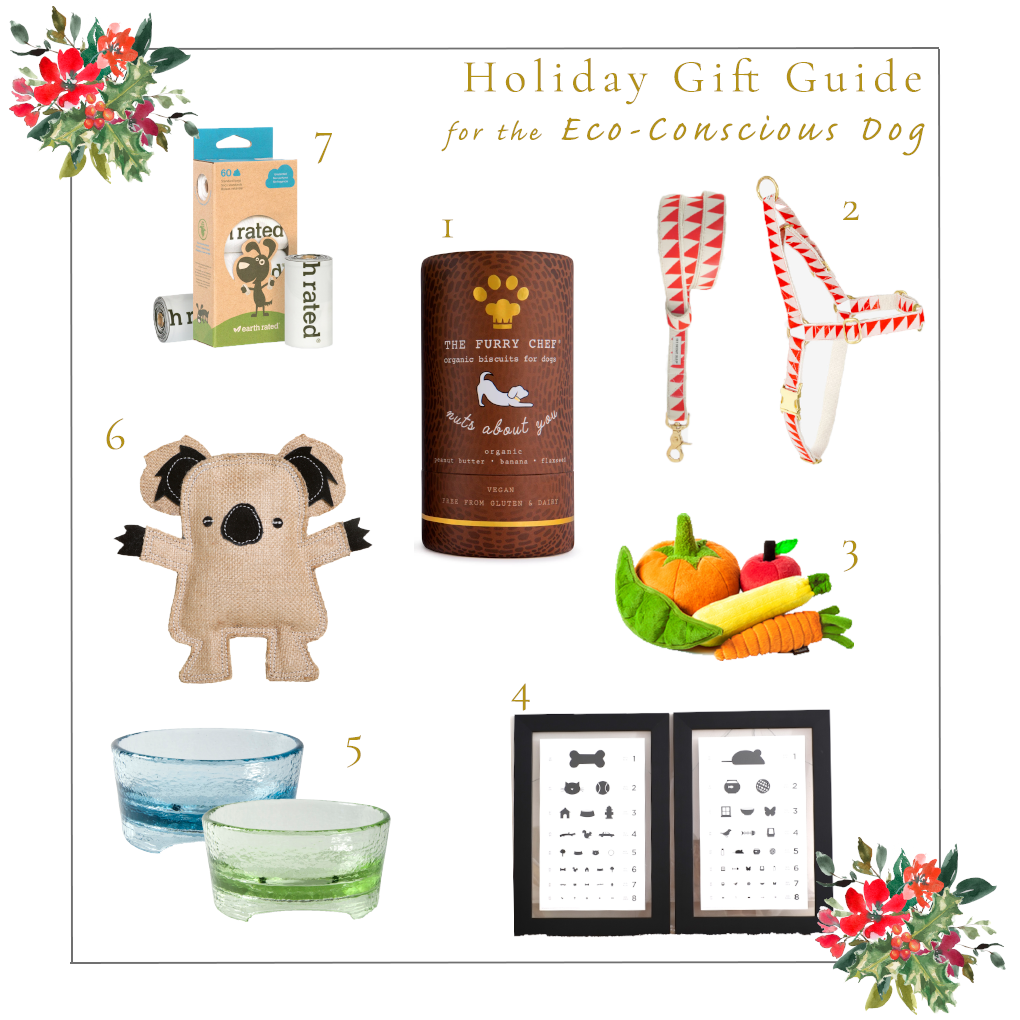 Holiday Gift Guide for the Eco-Conscious Dog