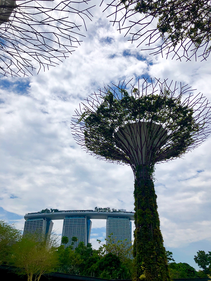 シンガポール Gardens by the Bay サムライストア甲冑体験