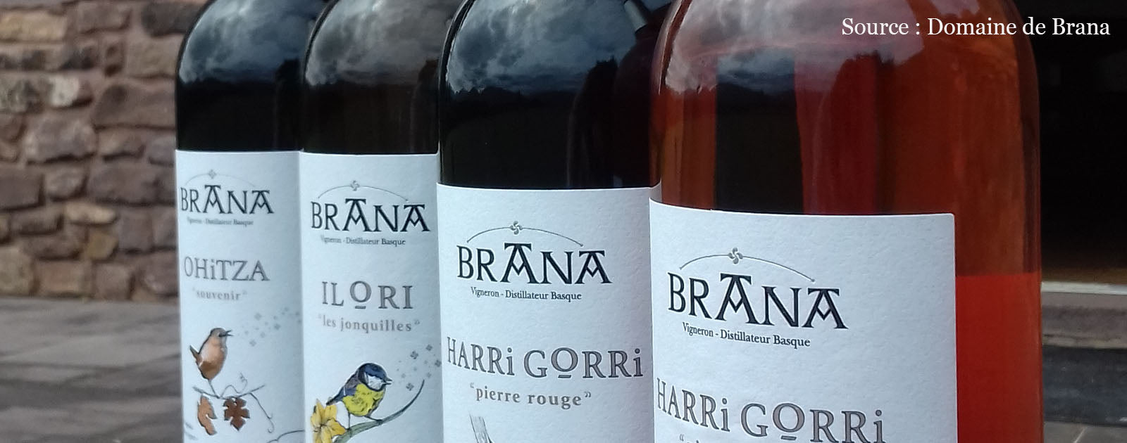 vins basque irouleguy - domaine de brana